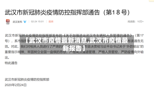【武汉市疫情最新消息,武汉市疫情最新报告】-第2张图片