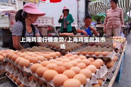 上海鸡蛋行情走势/上海鸡蛋批发市场