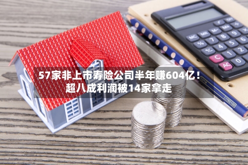 57家非上市寿险公司半年赚604亿！超八成利润被14家拿走-第2张图片