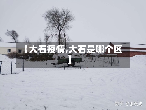 【大石疫情,大石是哪个区】-第1张图片