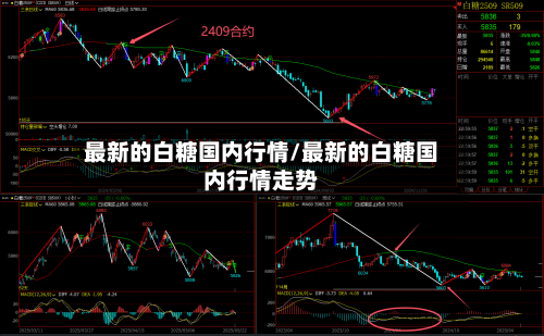 最新的白糖国内行情/最新的白糖国内行情走势-第2张图片