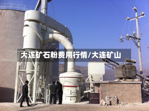 大连矿石粉费用行情/大连矿山-第2张图片