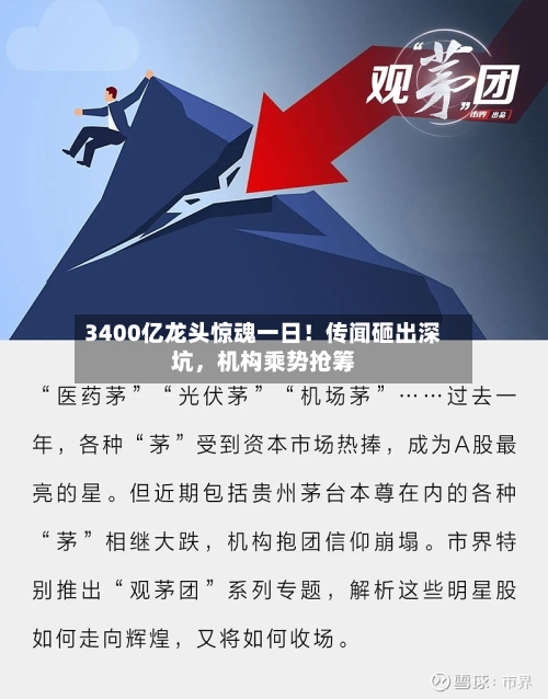 3400亿龙头惊魂一日！传闻砸出深坑	，机构乘势抢筹-第2张图片