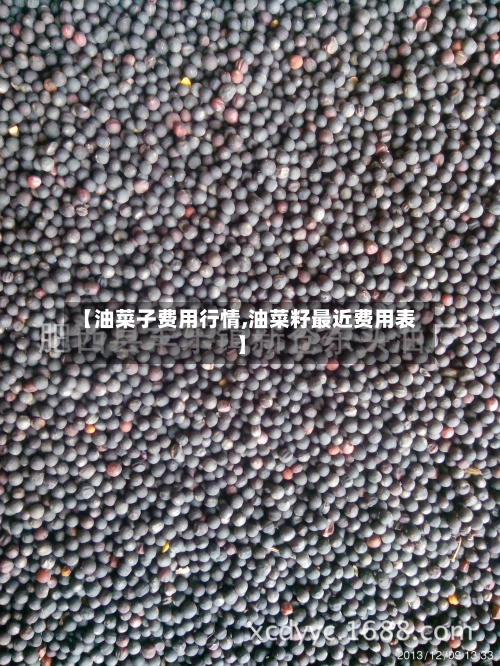 【油菜子费用行情,油菜籽最近费用表】