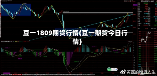 豆一1809期货行情(豆一期货今日行情)-第1张图片