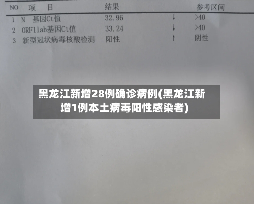 黑龙江新增28例确诊病例(黑龙江新增1例本土病毒阳性感染者)