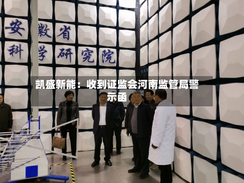 凯盛新能：收到证监会河南监管局警示函-第3张图片