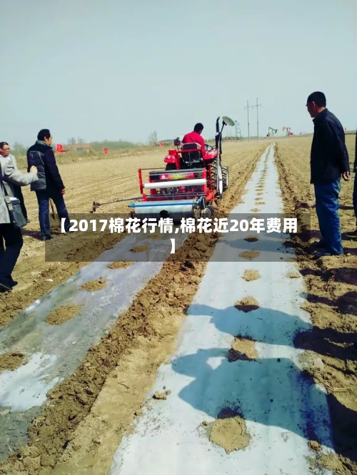 【2017棉花行情,棉花近20年费用】-第3张图片
