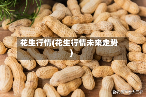 花生行情(花生行情未来走势)