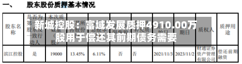 新城控股:富域发展质押4910.00万股用于偿还其前期债务需要-第2张图片