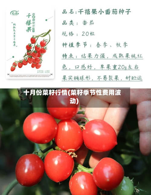 十月份菜籽行情(菜籽季节性费用波动)-第3张图片