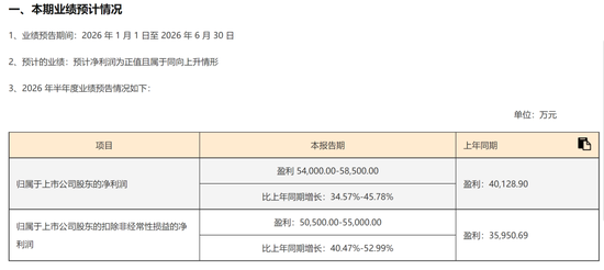 A股罕见！周六	，5家创业板公司发布业绩预告！301536，净利预增约6倍
