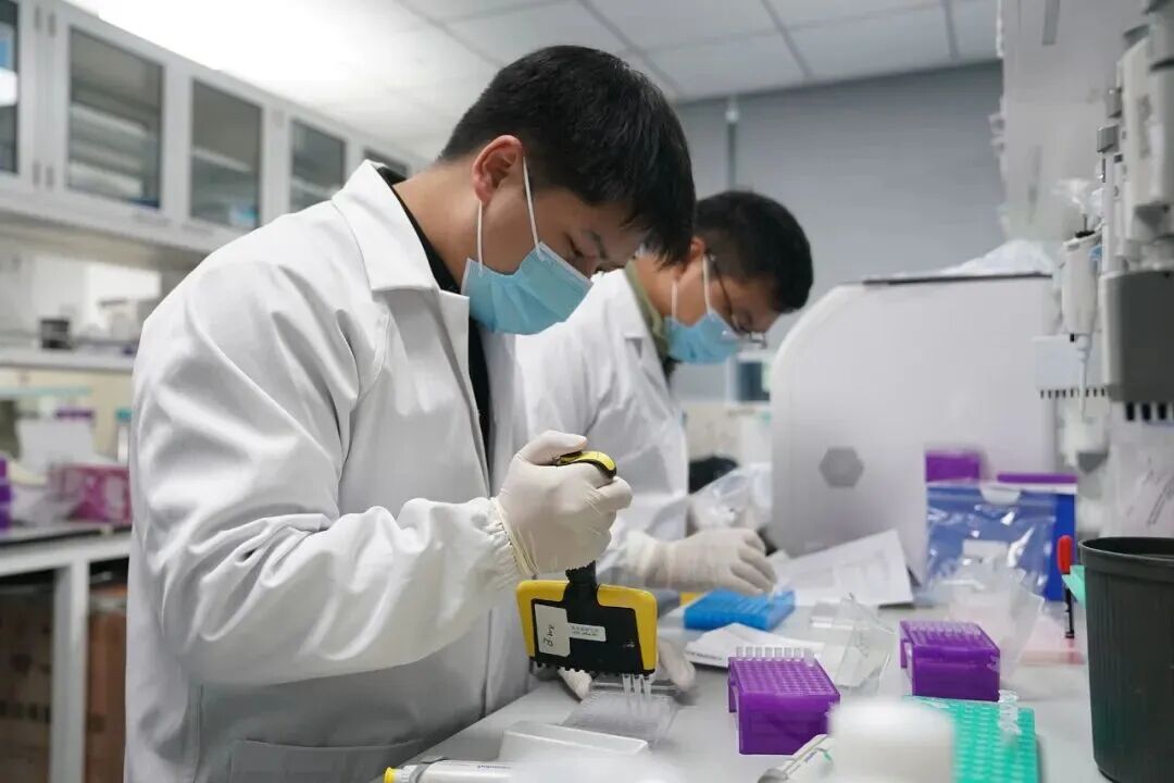 猴子价格涨疯了，20万一只还抢不到？可是峨眉山上不是超级多吗？